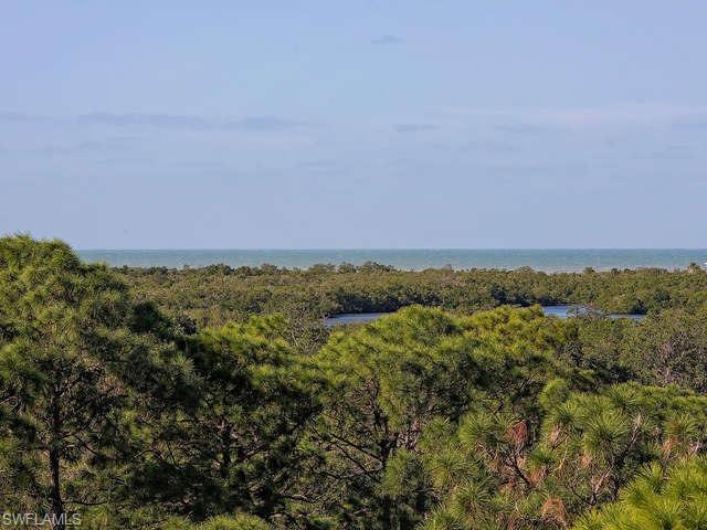 285 Naples Cove Dr - Photo 1