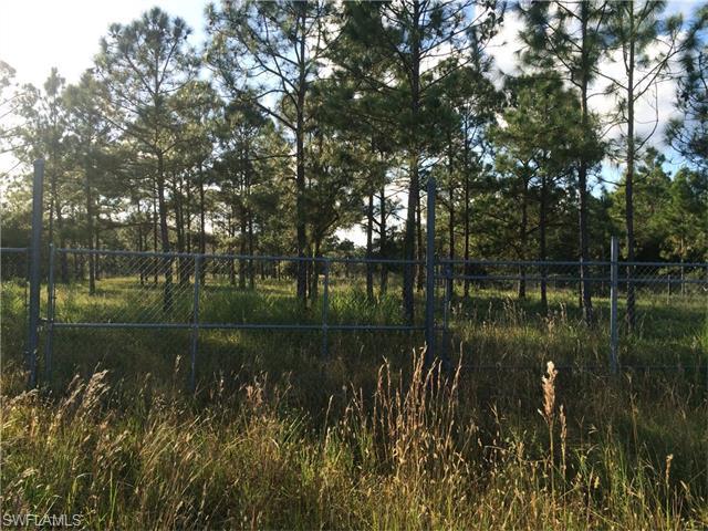 6275 Everglades Blvd - Photo 1