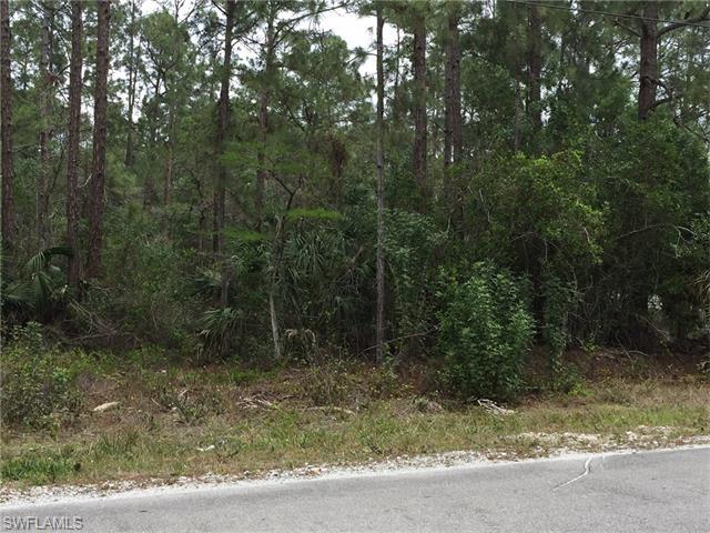 XXXX 3rd Ave SW, Naples, FL 34117 (#216024696) :: Homes and Land Brokers, Inc
