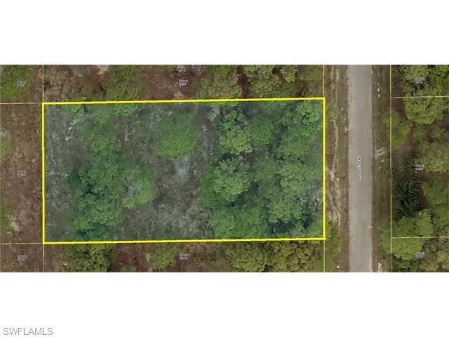 1117 Prospect Ave, Lehigh Acres, FL 33972 (#216029013) :: Homes and Land Brokers, Inc