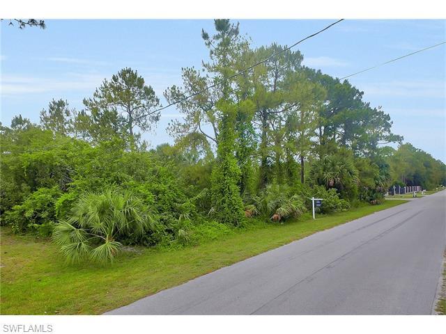 21st St SW, Naples, FL 34117 (#216034839) :: Homes and Land Brokers, Inc
