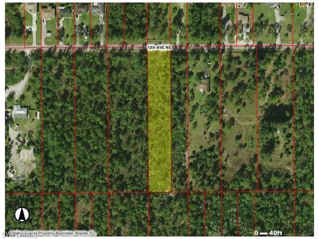 3610 12th Ave NE, Naples, FL 34120 (#216040801) :: Homes and Land Brokers, Inc
