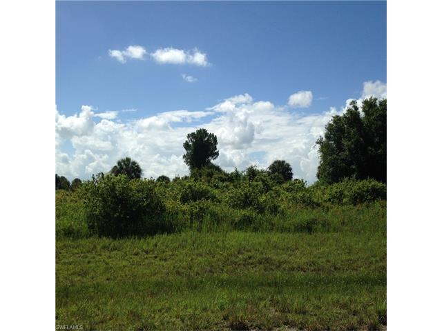 8041 Olive Cir - Photo 1