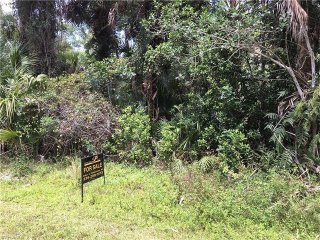 XXXX 39TH Ave NE, Naples, FL 34120 (#216047246) :: Homes and Land Brokers, Inc