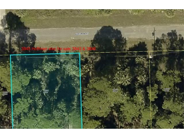 3845 Hoffman St - Photo 1