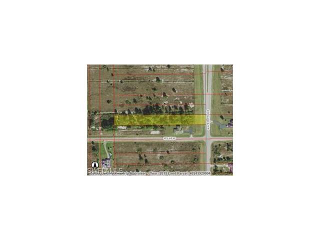 0 Everglades Blvd N, Naples, FL 34120 (MLS #216056310) :: The New Home Spot, Inc.