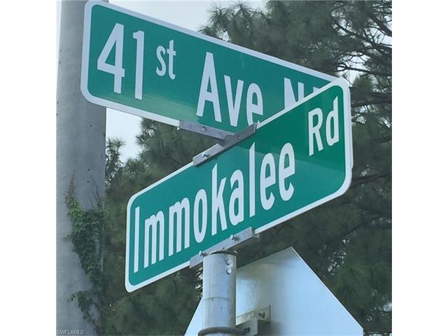 131 41st Ave NE, Naples, FL 34120 (#216060958) :: Homes and Land Brokers, Inc