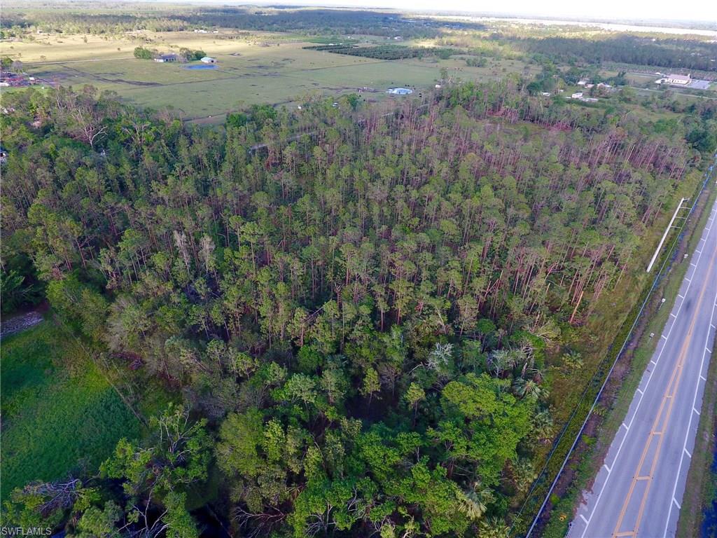 1274 Limpkin Rd - Photo 1