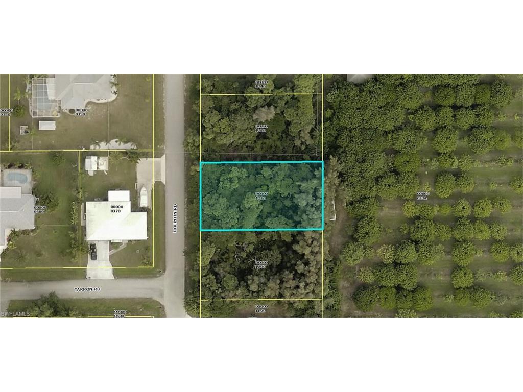 12422 Dolphin Rd - Photo 1