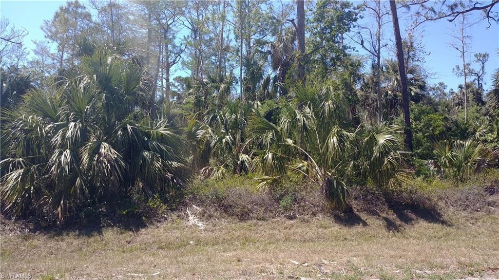 Wilson Blvd - Photo 1