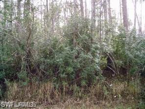 immokalee Rd - Photo 1