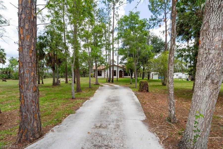 985 Snake Rd - Photo 1