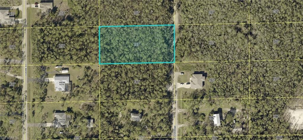 24300 Amarillo St - Photo 1
