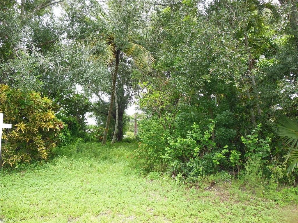 1319 Lastrada Ln - Photo 1
