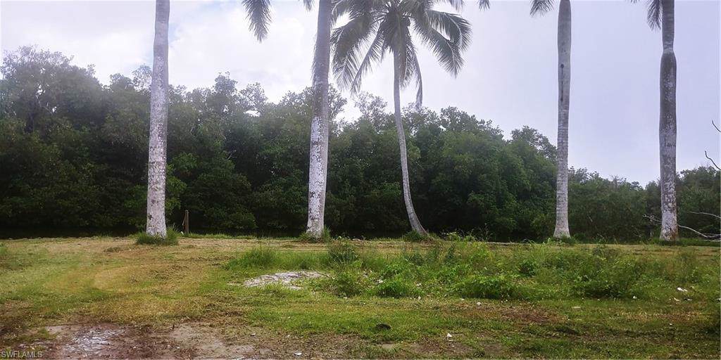 2 Plantation Pky - Photo 1