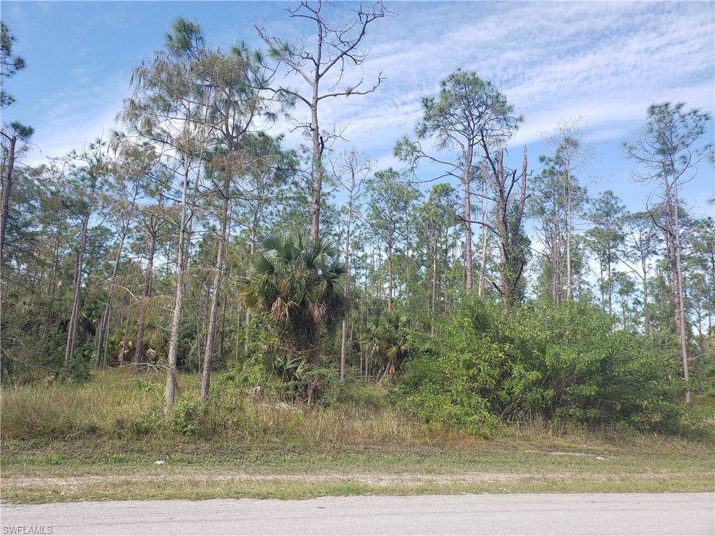 xx Unit 73 Desoto Blvd - Photo 1