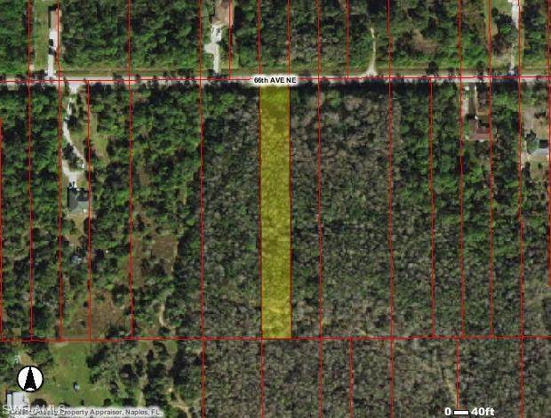 66th Ave - Photo 1