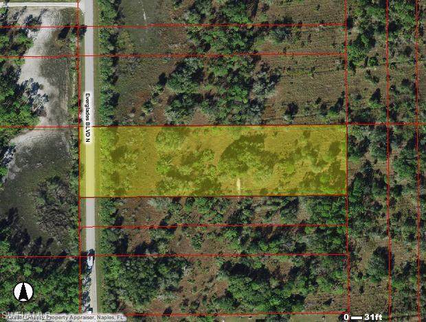 Everglades Blvd - Photo 1