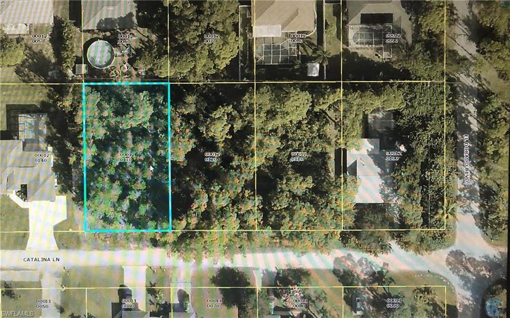 4626 Catalina Ln - Photo 1