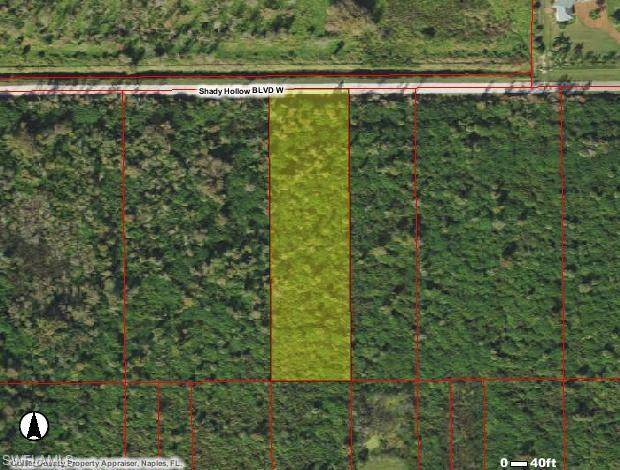 780 Shady Hollow Bend - Photo 1