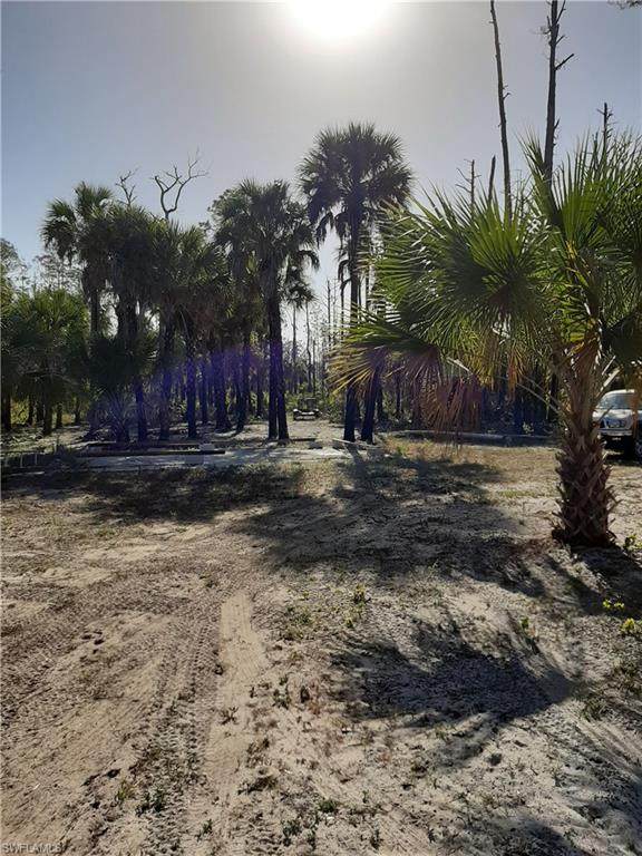 17085 Blackburn Rd - Photo 1