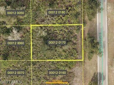 322 Bell Blvd - Photo 1