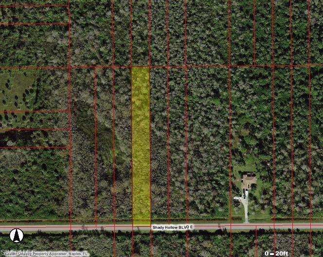 Shady Hollow Blvd E - Photo 1