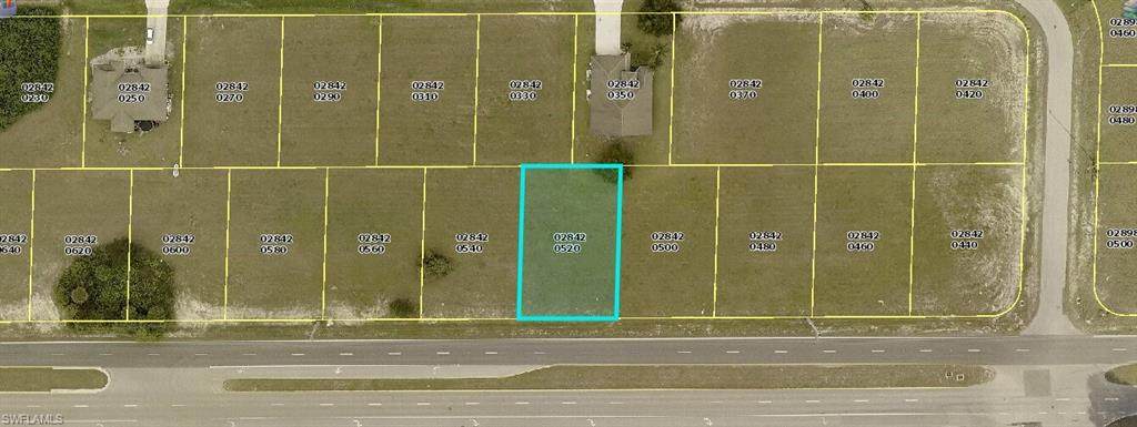 1317 Tropicana Pky - Photo 1