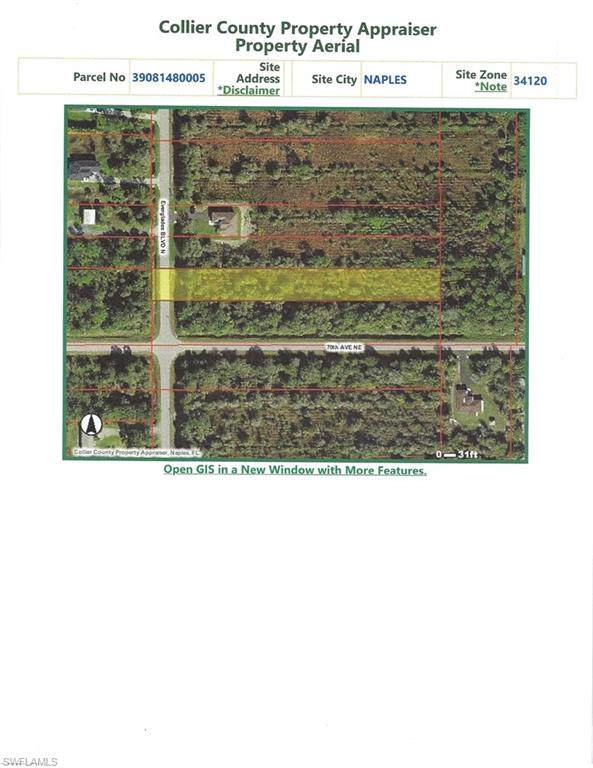 Everglades Blvd - Photo 1