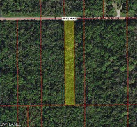 4774 28th Ave - Photo 1