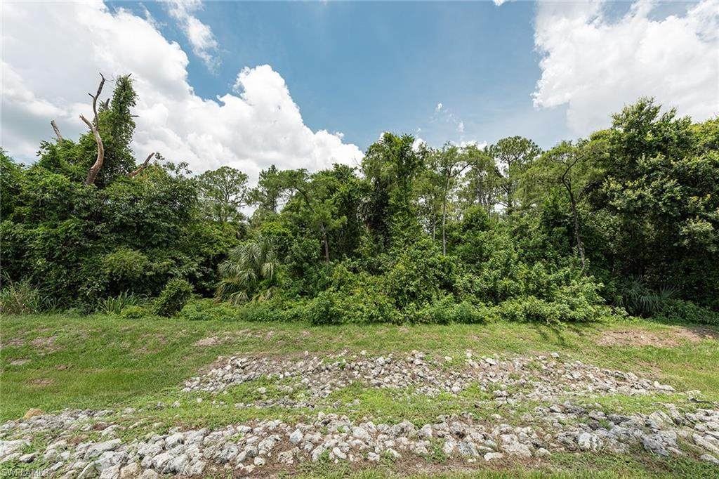 795 Collier Blvd - Photo 1