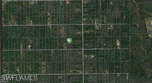 4445 28th Ave - Photo 1