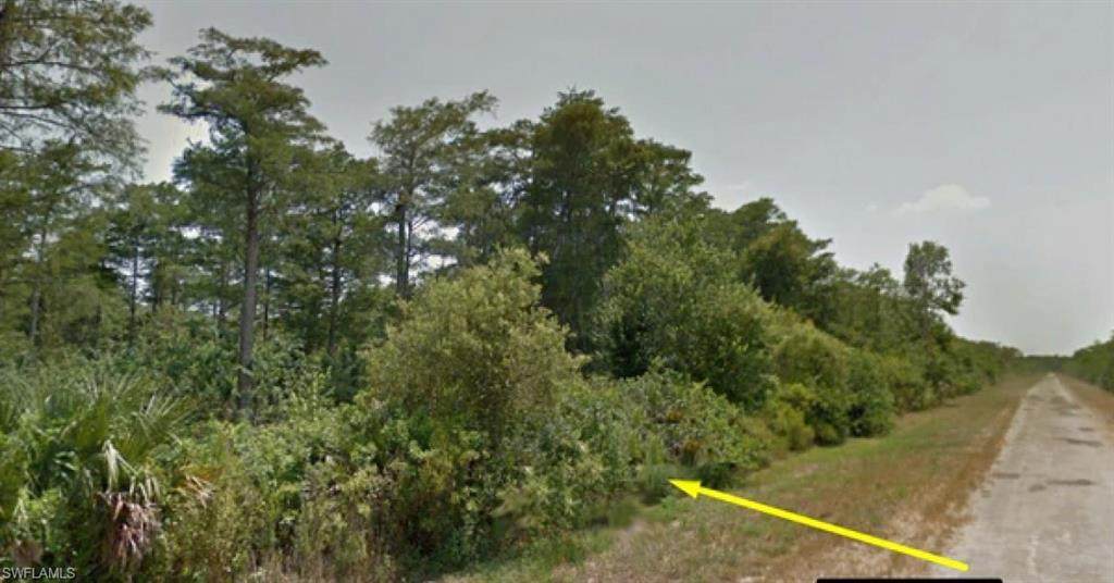 274 47th Ave - Photo 1