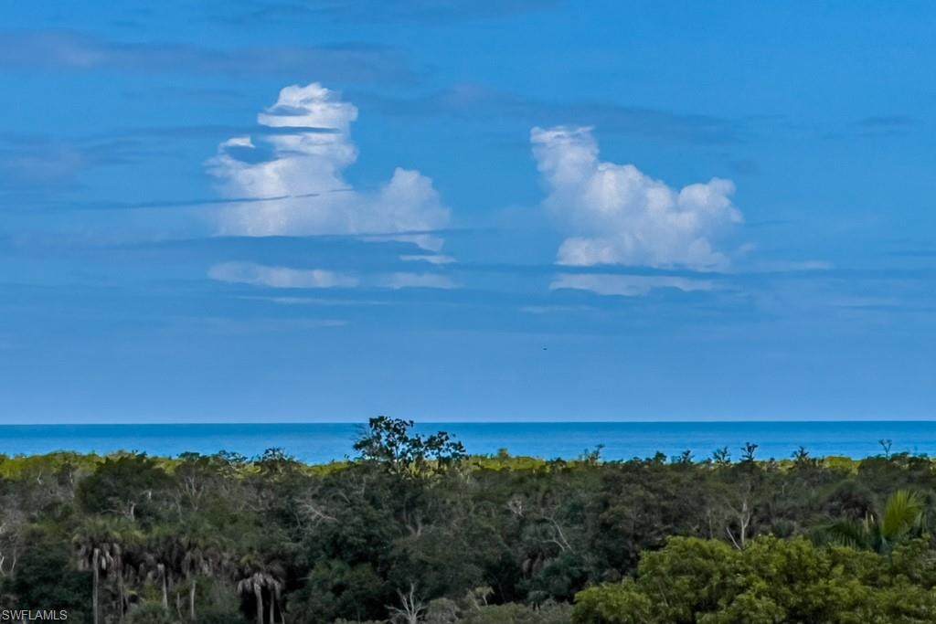6300 Pelican Bay Blvd - Photo 1