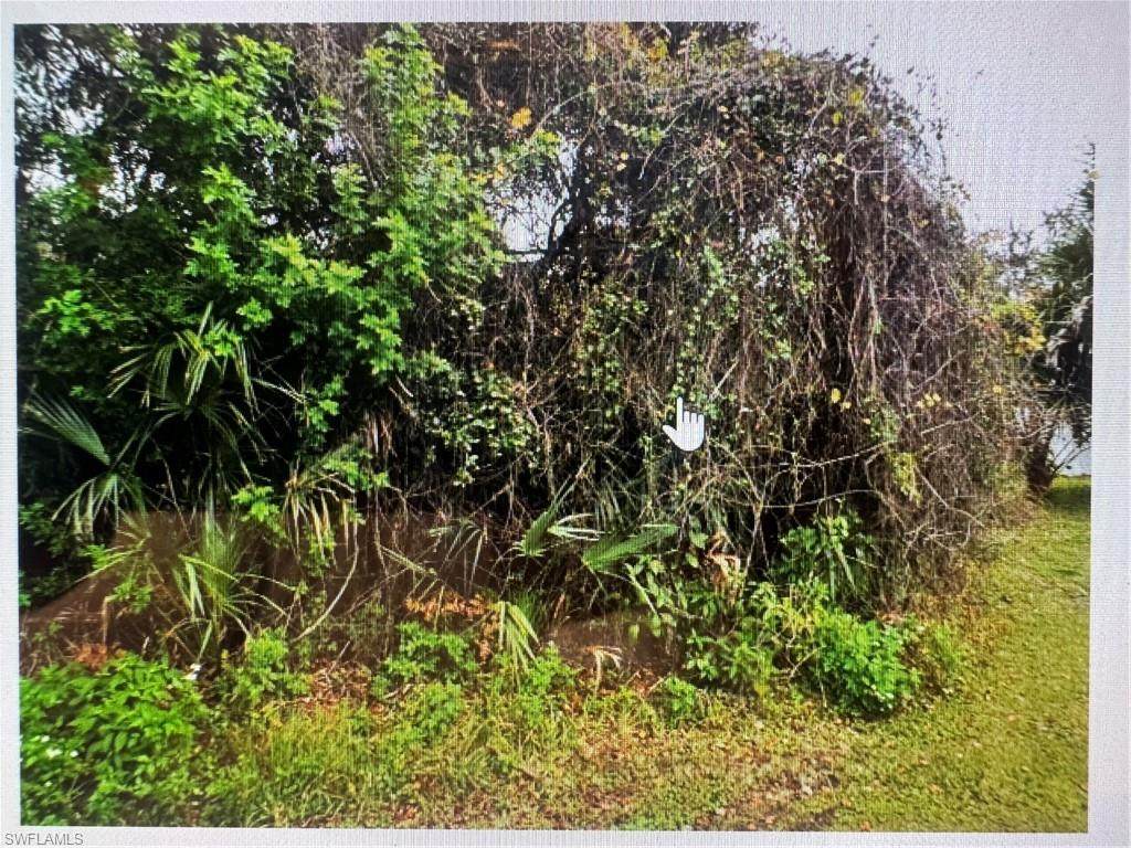  Cunliffe Rd - Photo 1