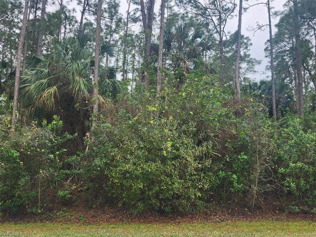 https://bt-photos.global.ssl.fastly.net/naples/orig_boomver_1_225007209-2.jpg