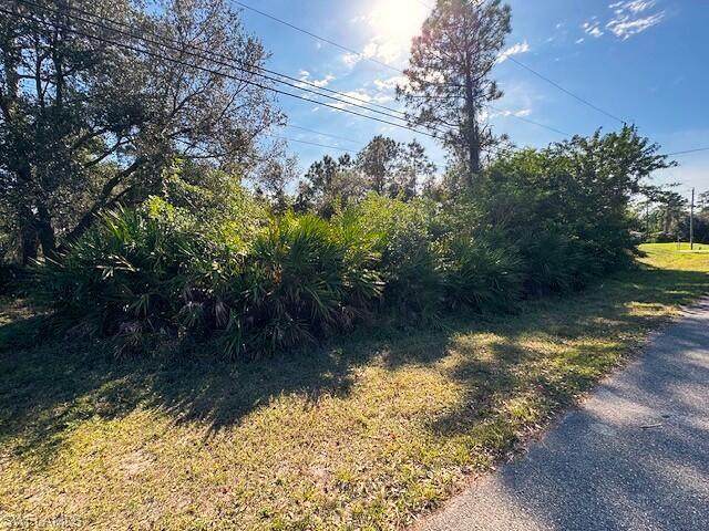 502 Truman Ave - Photo 1
