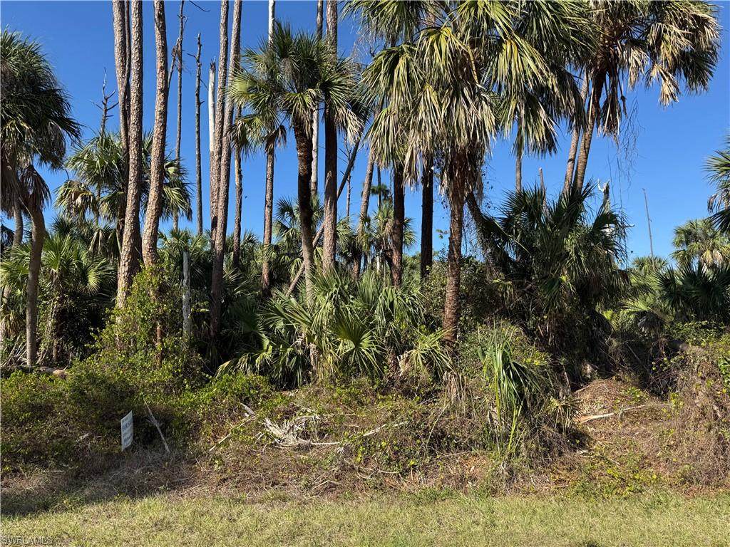 17360 Inglewood Ave - Photo 1