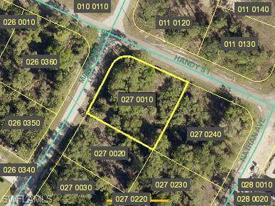 331 Mangonia Ave - Photo 1