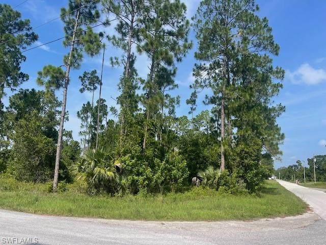 1010 Manikin Ave - Photo 1