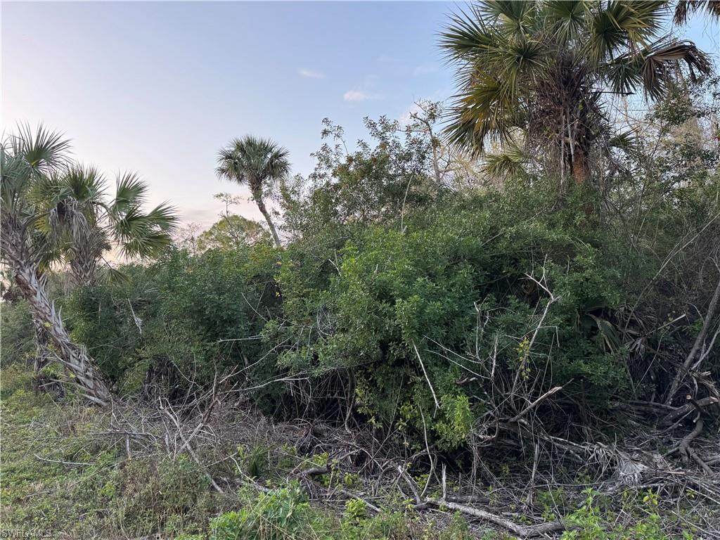 4187 36 Ave - Photo 1