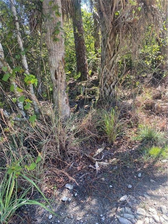 36TH Ave - Photo 1