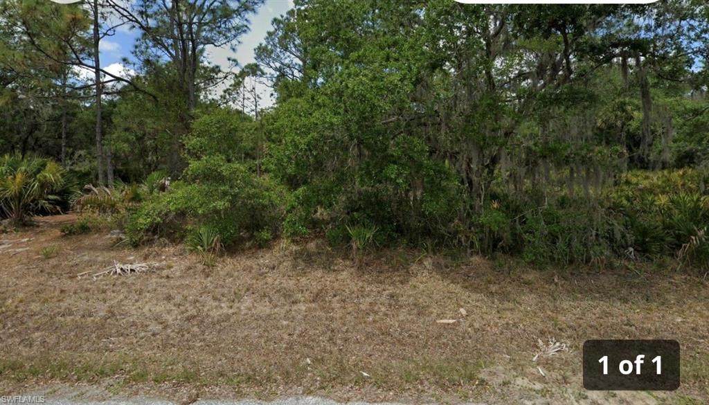 3089 Joshua St - Photo 1