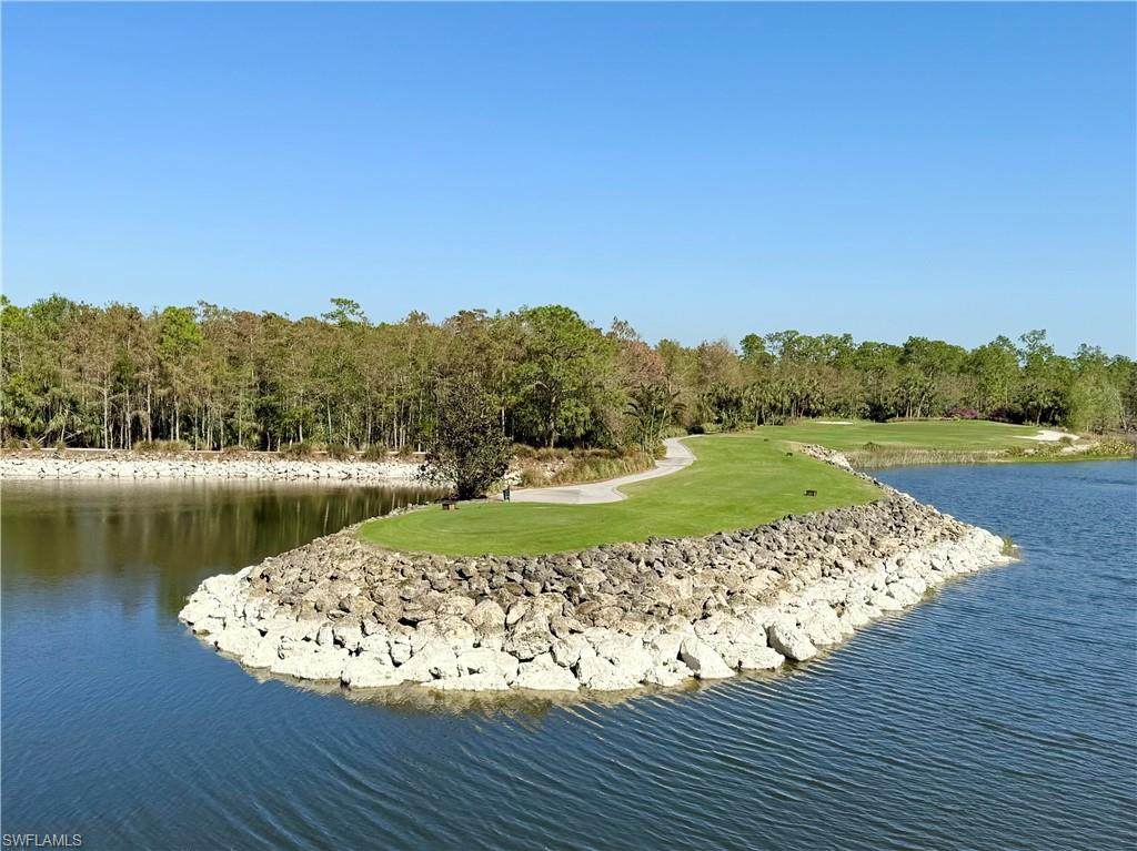 8555 Naples Heritage Dr - Photo 1