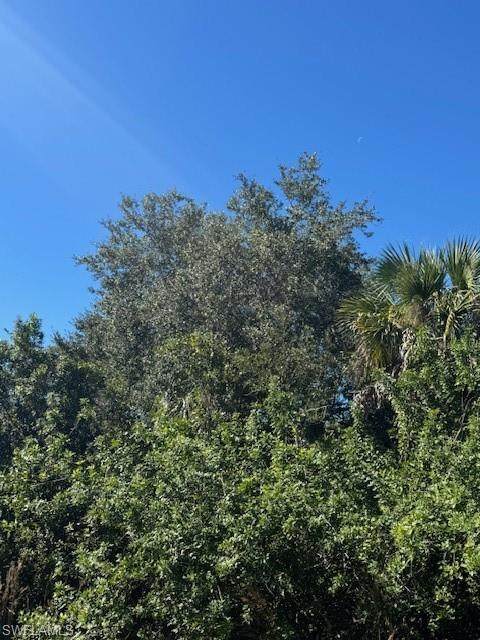 https://bt-photos.global.ssl.fastly.net/naples/orig_boomver_1_225079718-2.jpg