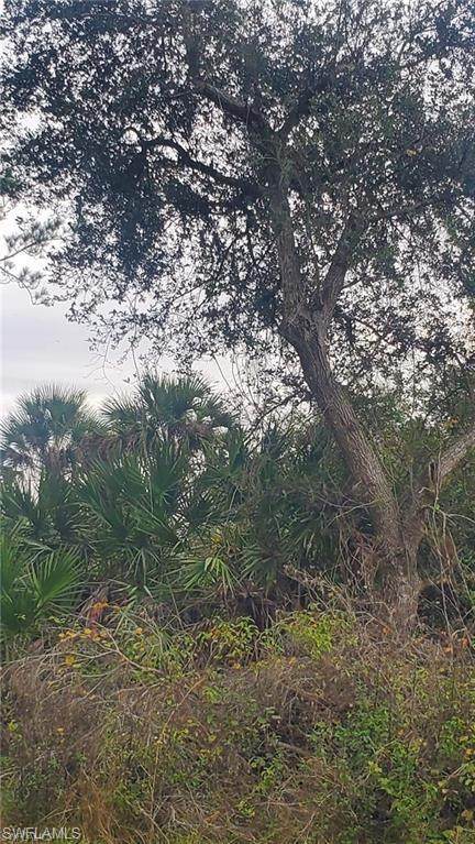 315 IVANHOE AVE Banyan Village - Photo 1