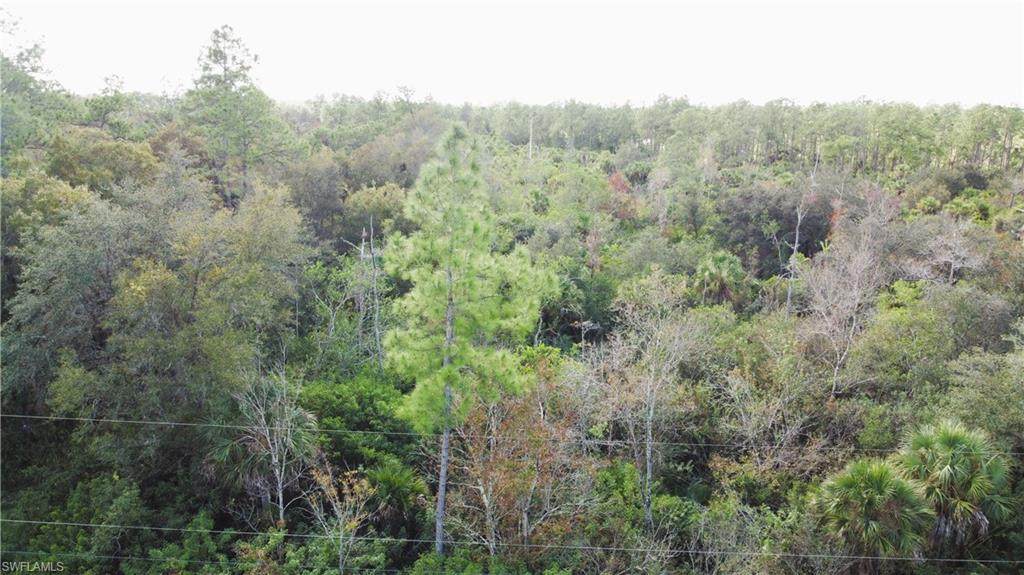 4765 28th Ave - Photo 1