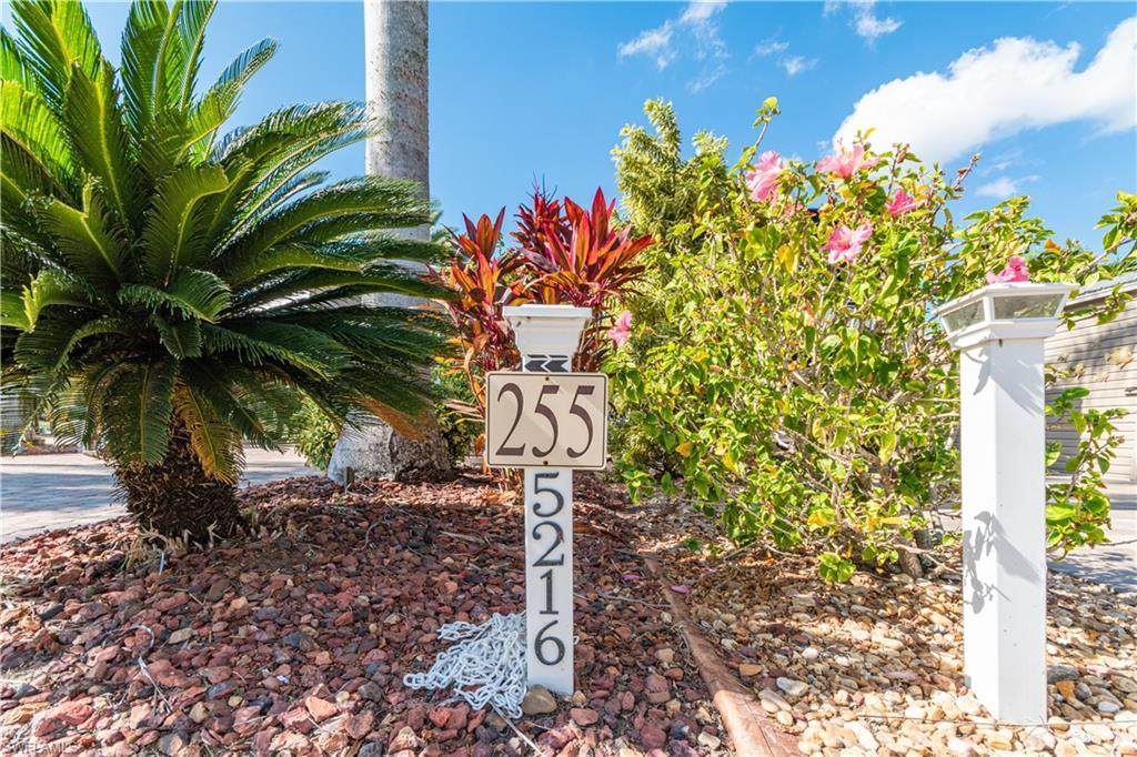 5216 Pineland Daisy Trl - Photo 1