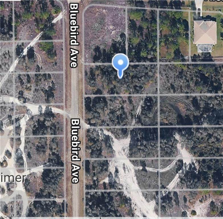 717 Bluebird Ave - Photo 1