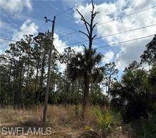 1242 Creary St - Photo 1